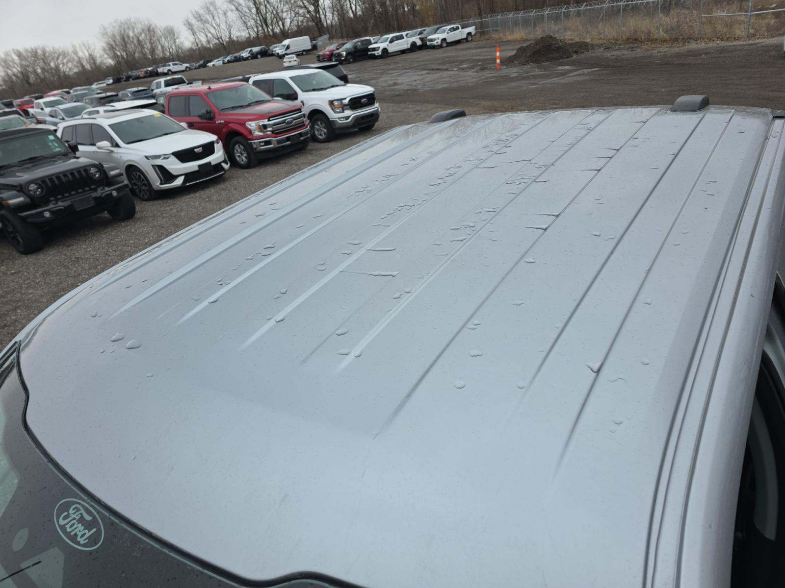 2025 Ford F-150 XLT AWD