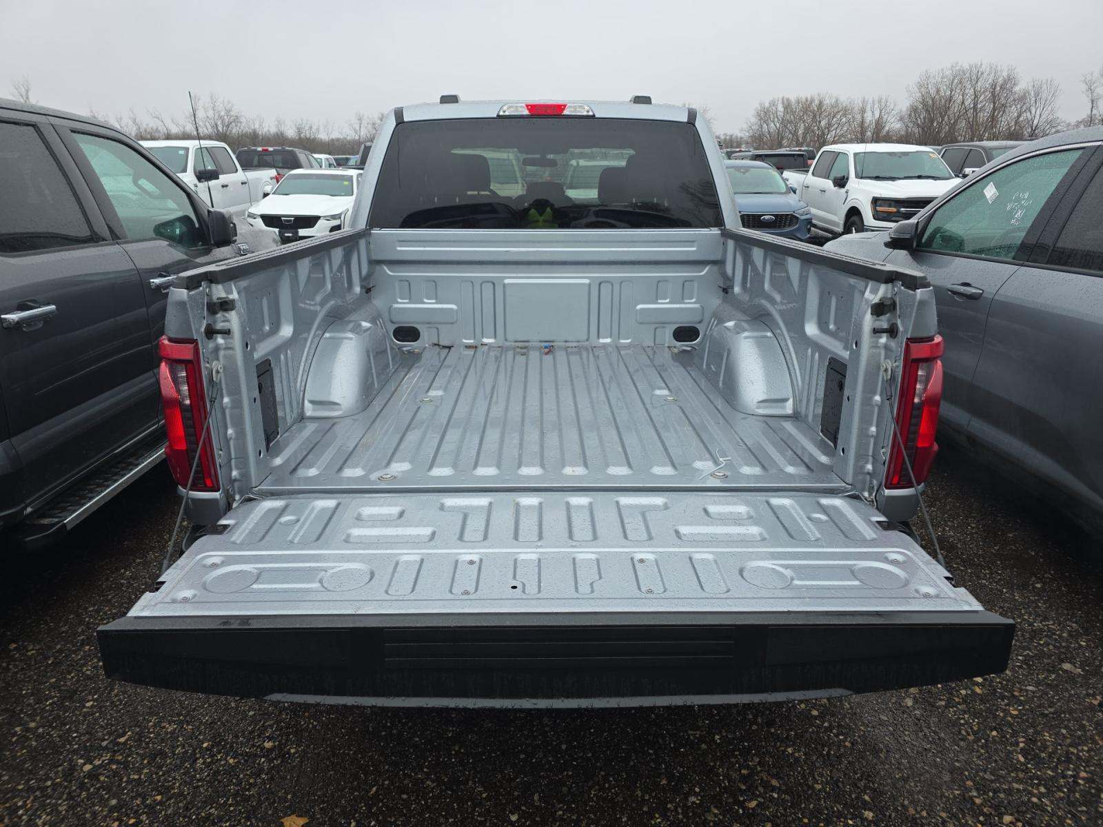 2025 Ford F-150 XLT AWD