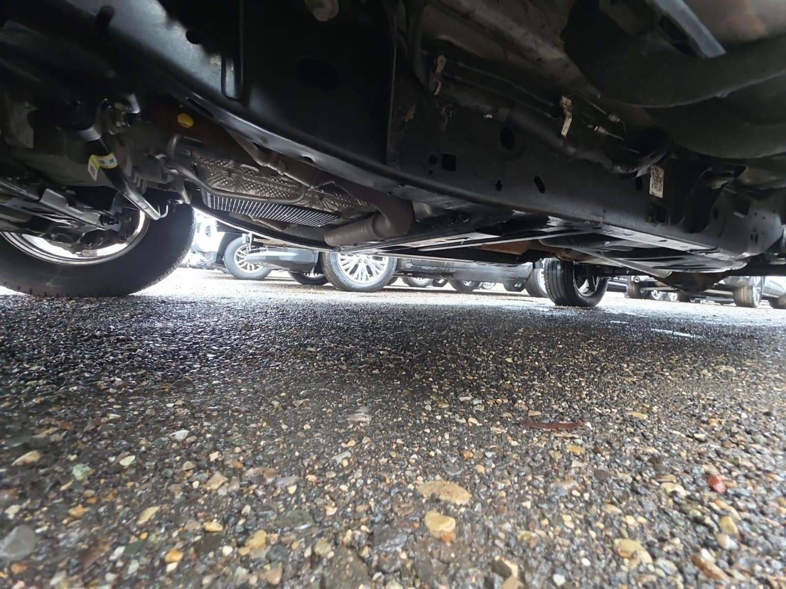 2025 Ford F-150 XLT AWD