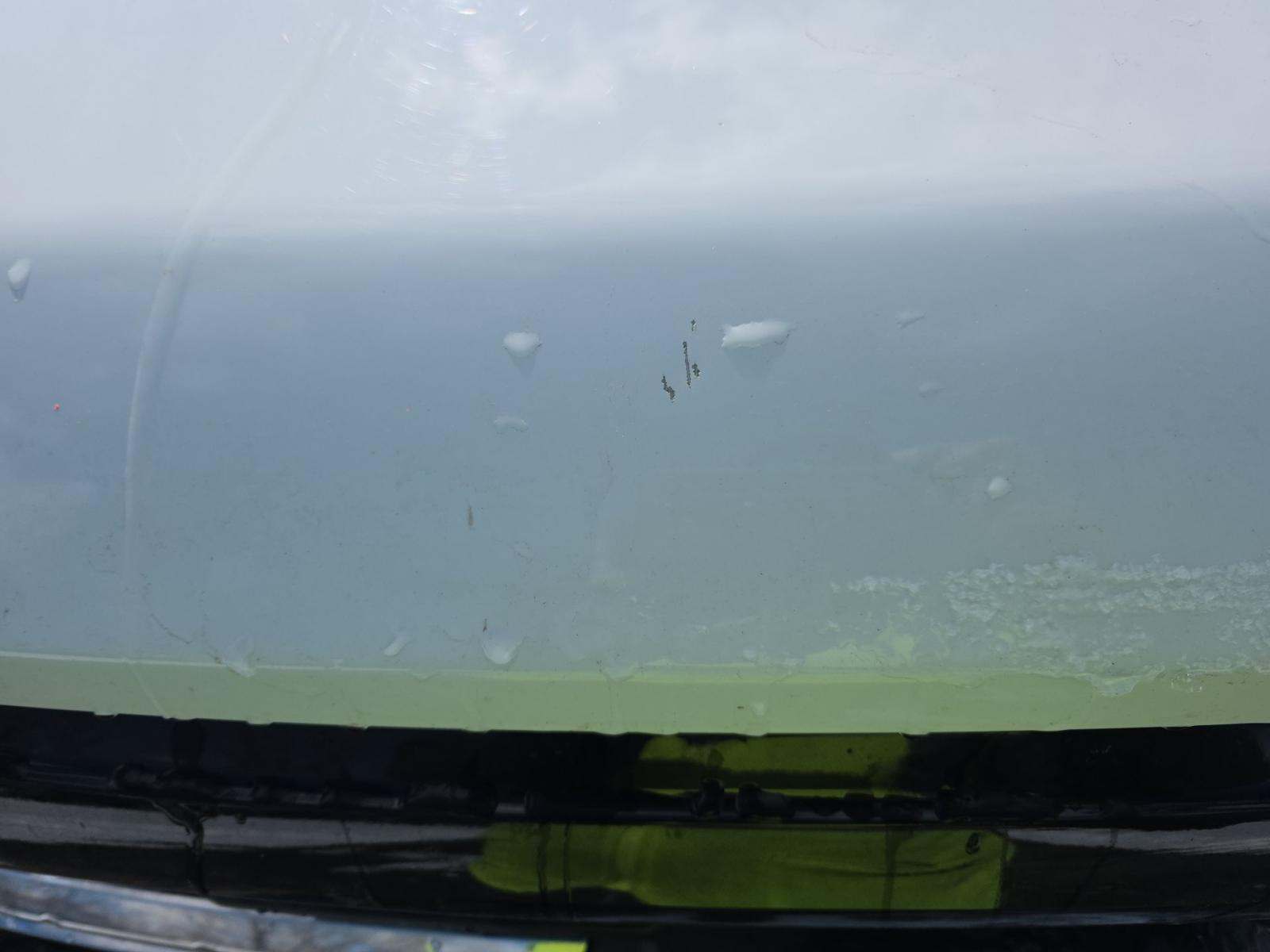 2025 Ford F-150 XLT AWD