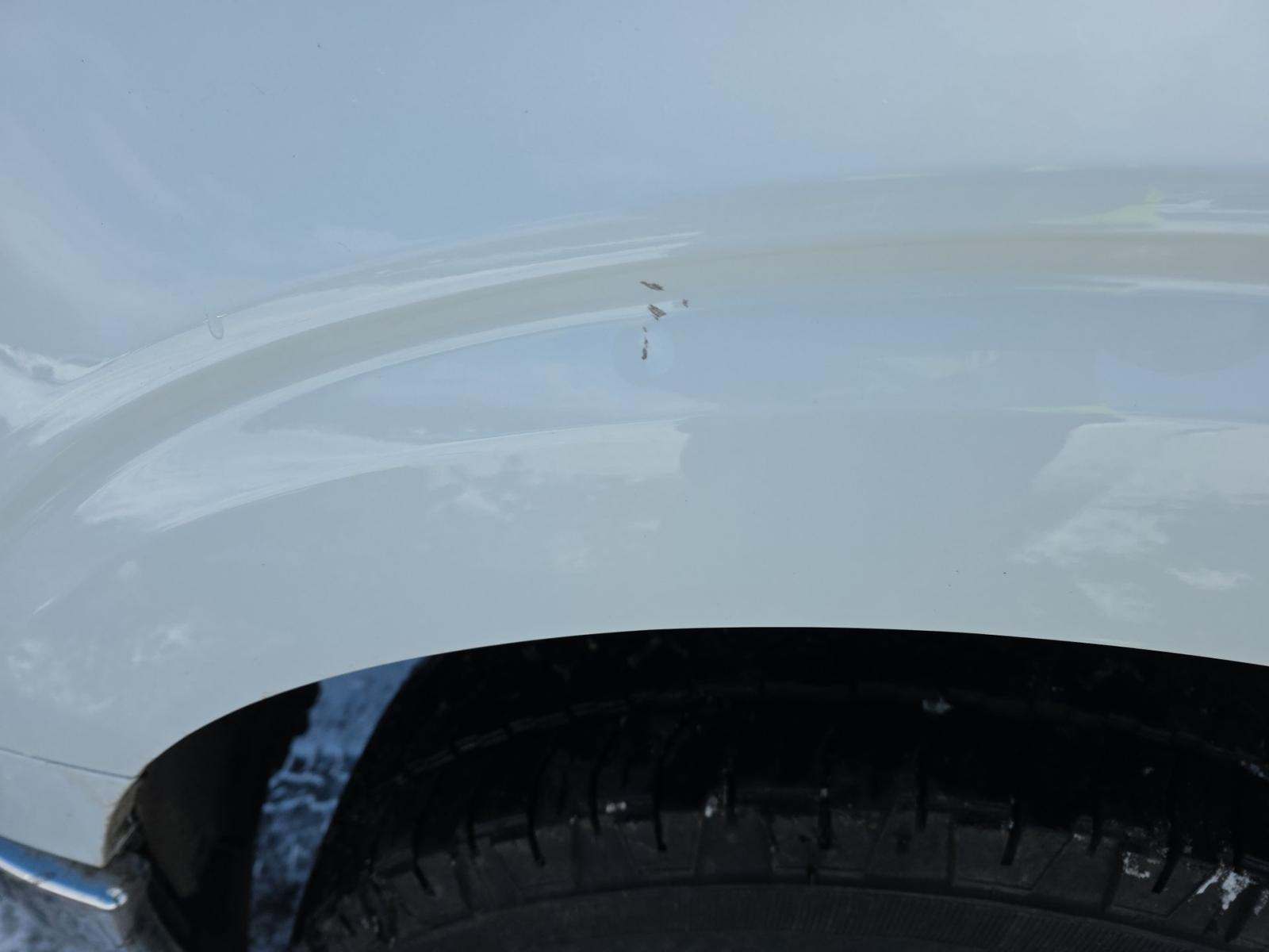 2025 Ford F-150 XLT AWD