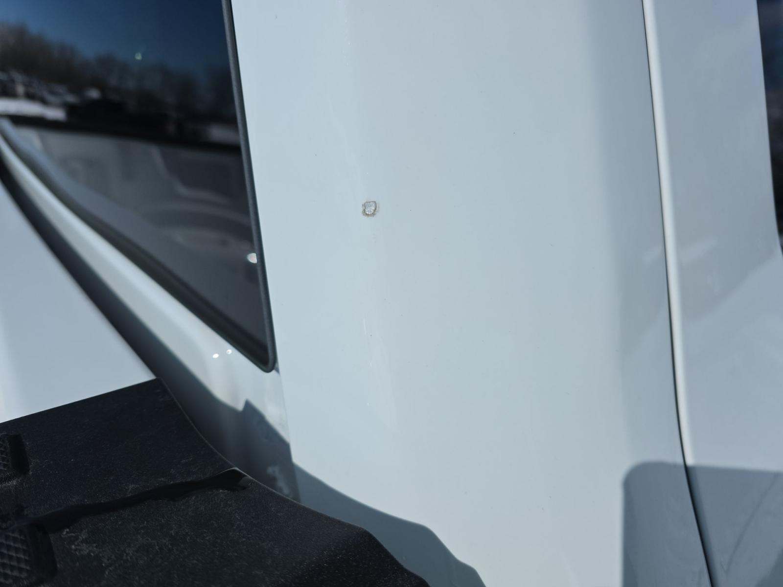 2025 Ford F-150 XLT AWD