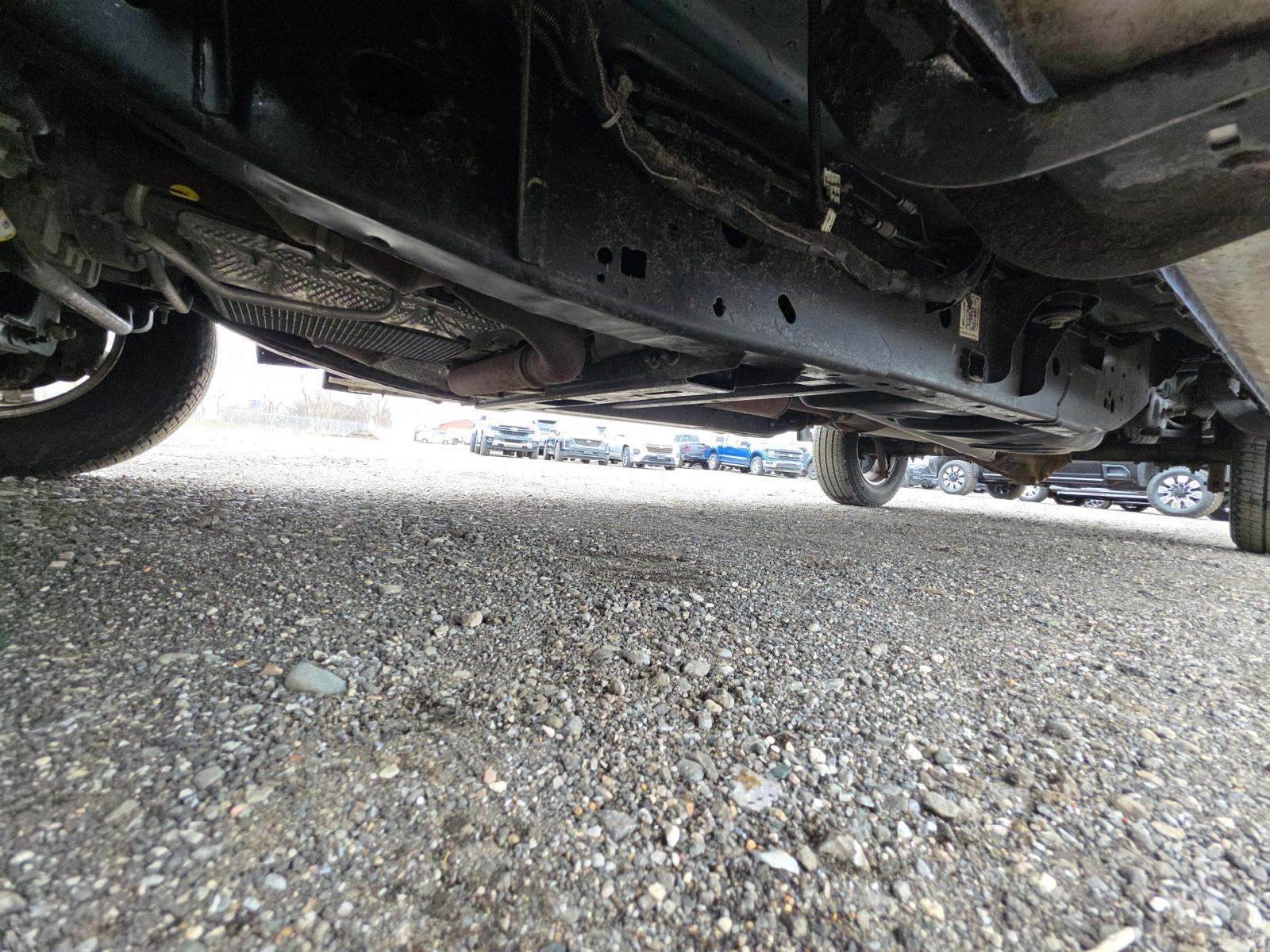 2025 Ford F-150 XLT AWD