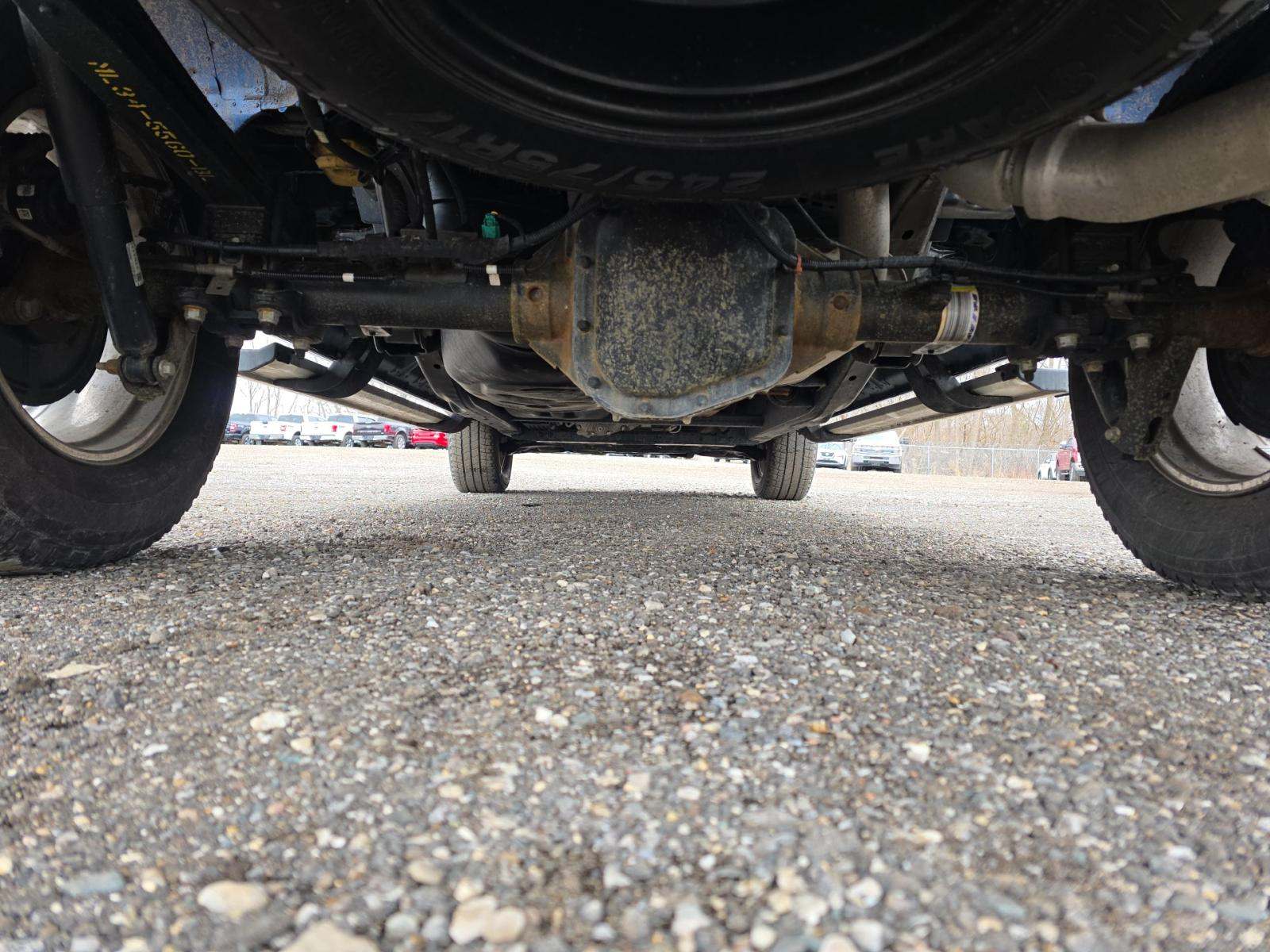 2025 Ford F-150 XLT AWD