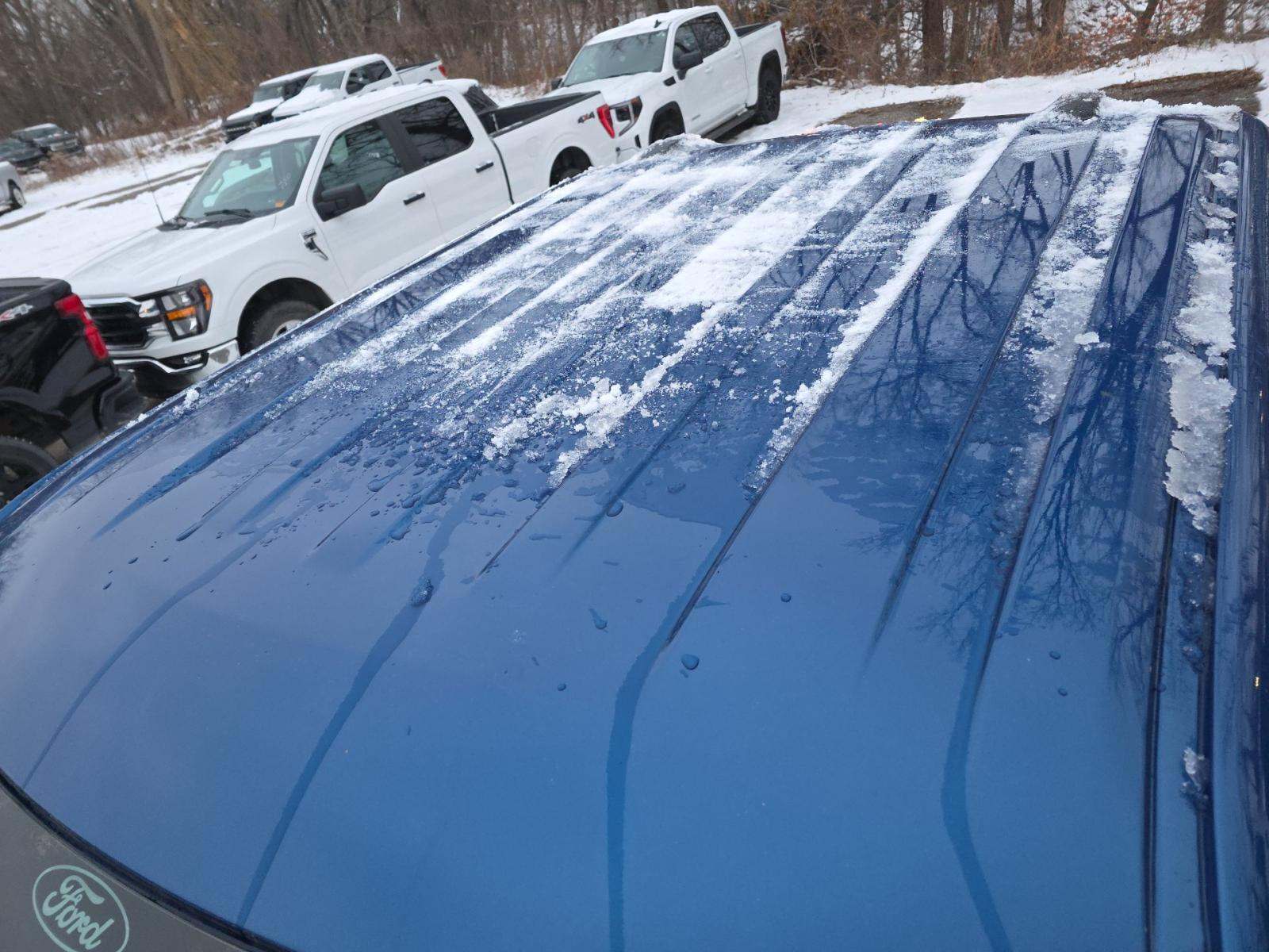 2024 Ford F-150 XLT AWD