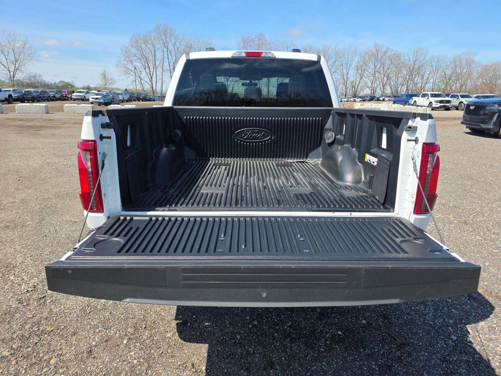 FORD F-150 - 10