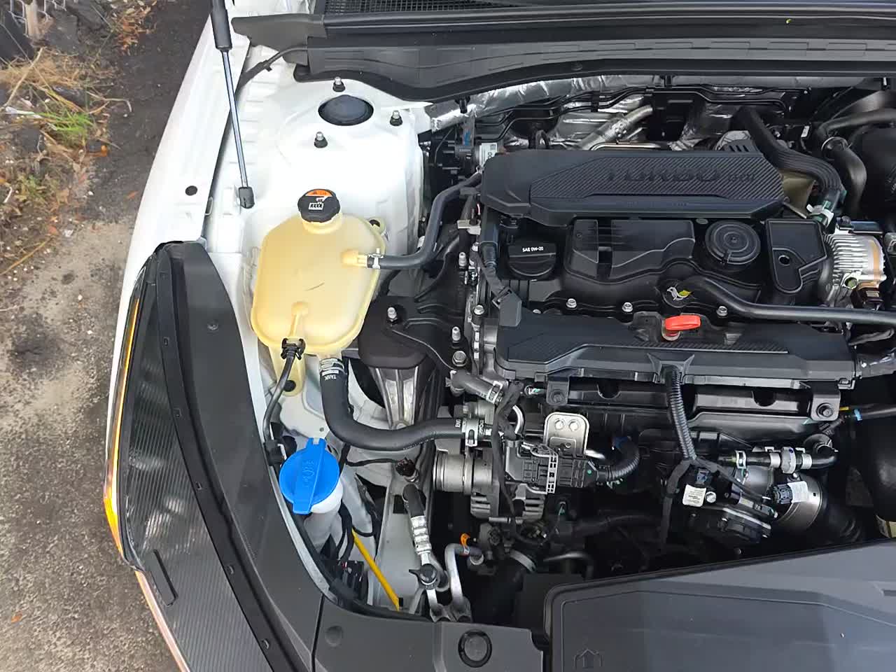 2024 Kia K5 GT-Line FWD