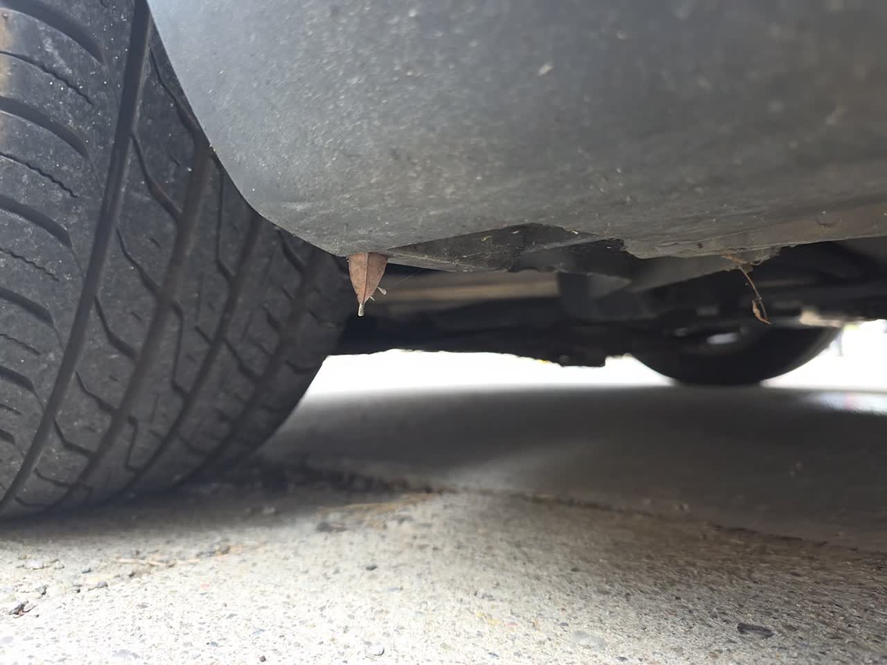 2016 Ford Focus SE FWD