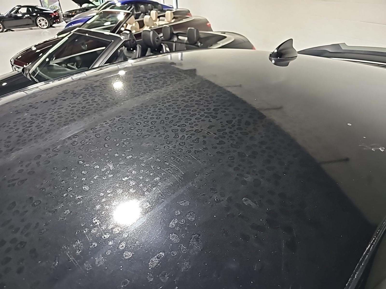 2019 Dodge Charger Scat Pack RWD