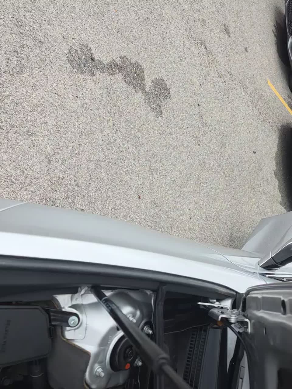 2019 Lexus ES ES 350 FWD