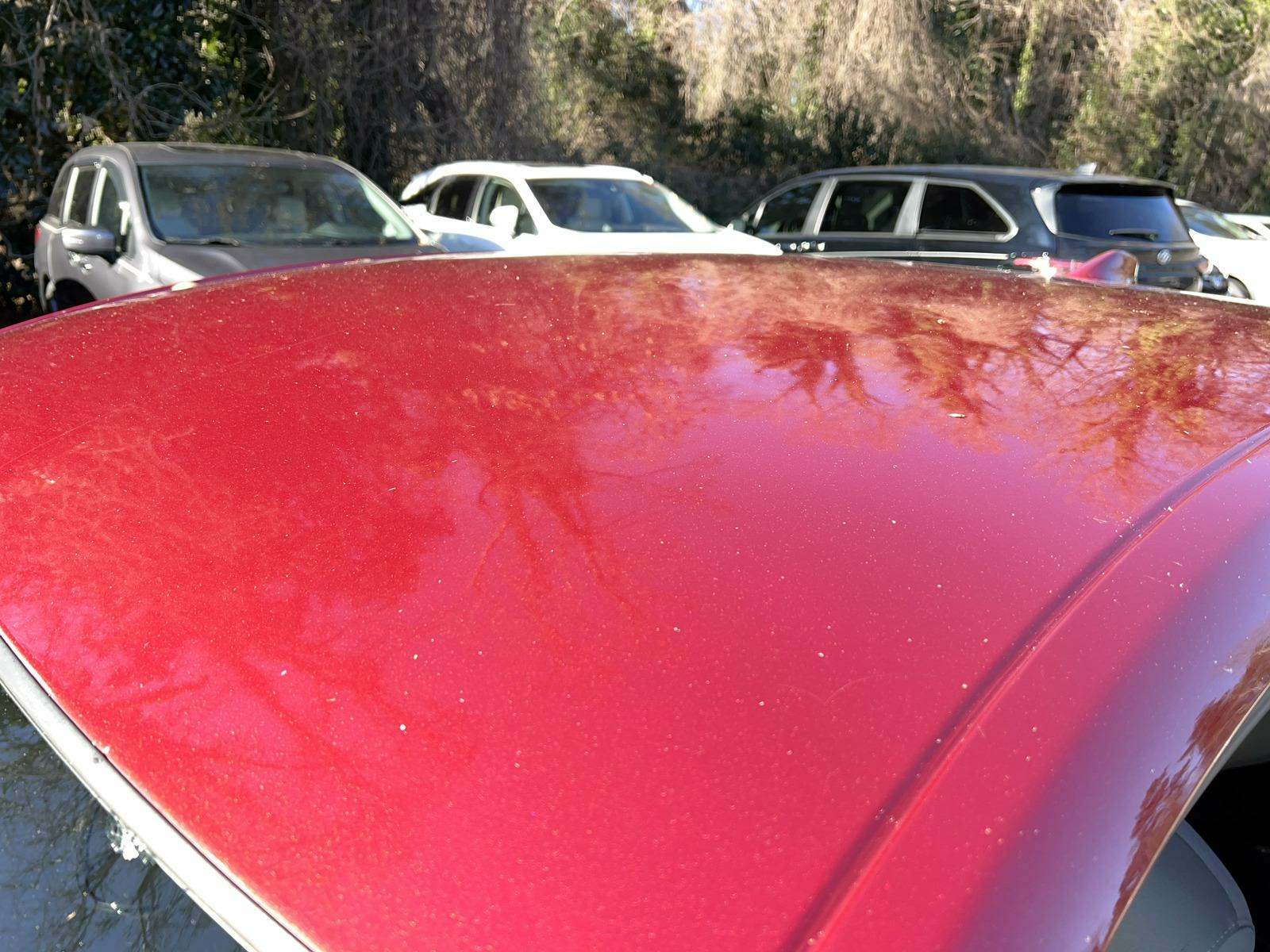 2019 Honda Accord LX 1.5T FWD