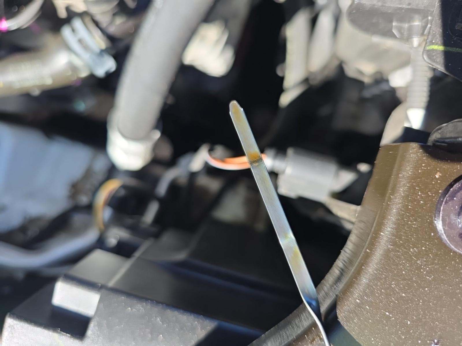 2024 Volkswagen Tiguan 2.0T SE FWD