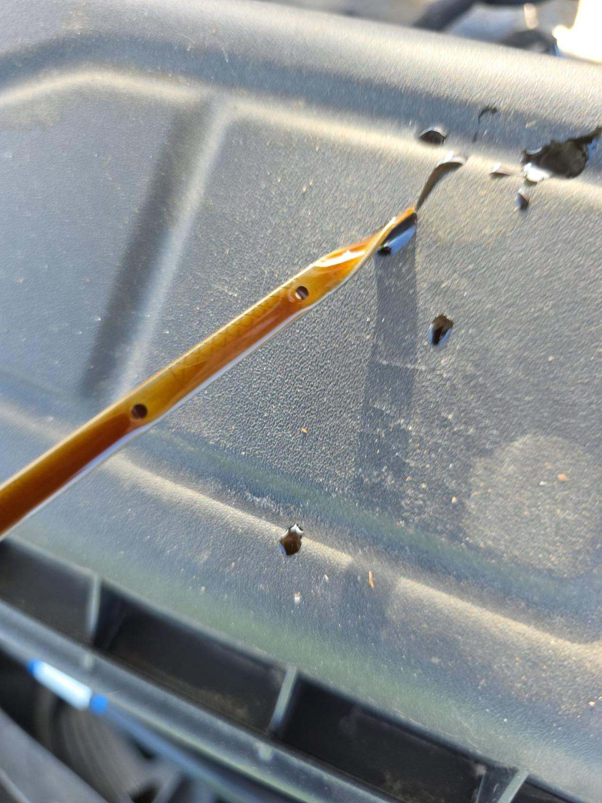 2024 Ford Escape ST-Line FWD