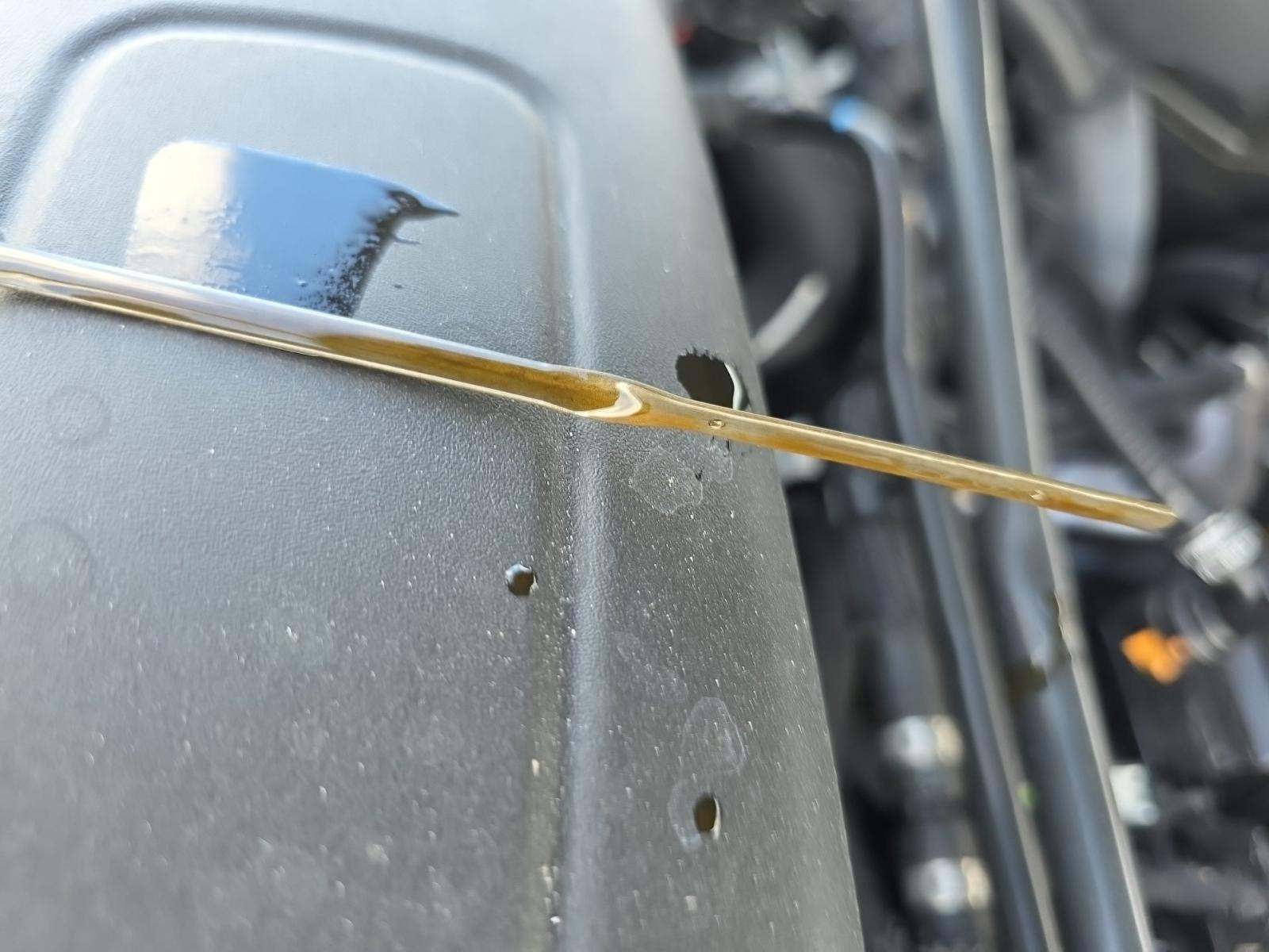 2023 Ford Explorer XLT RWD