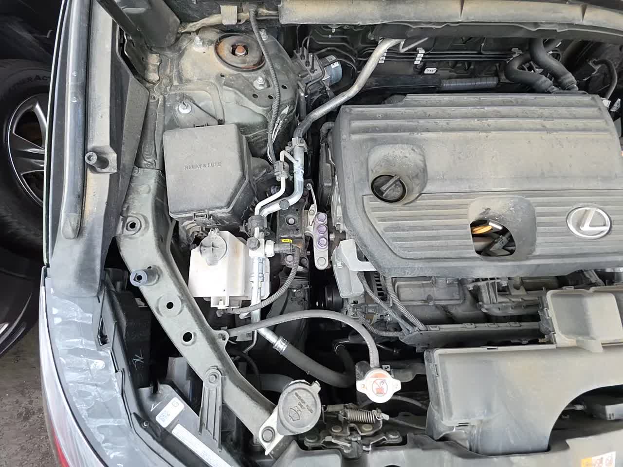 2022 Lexus NX NX 250 FWD