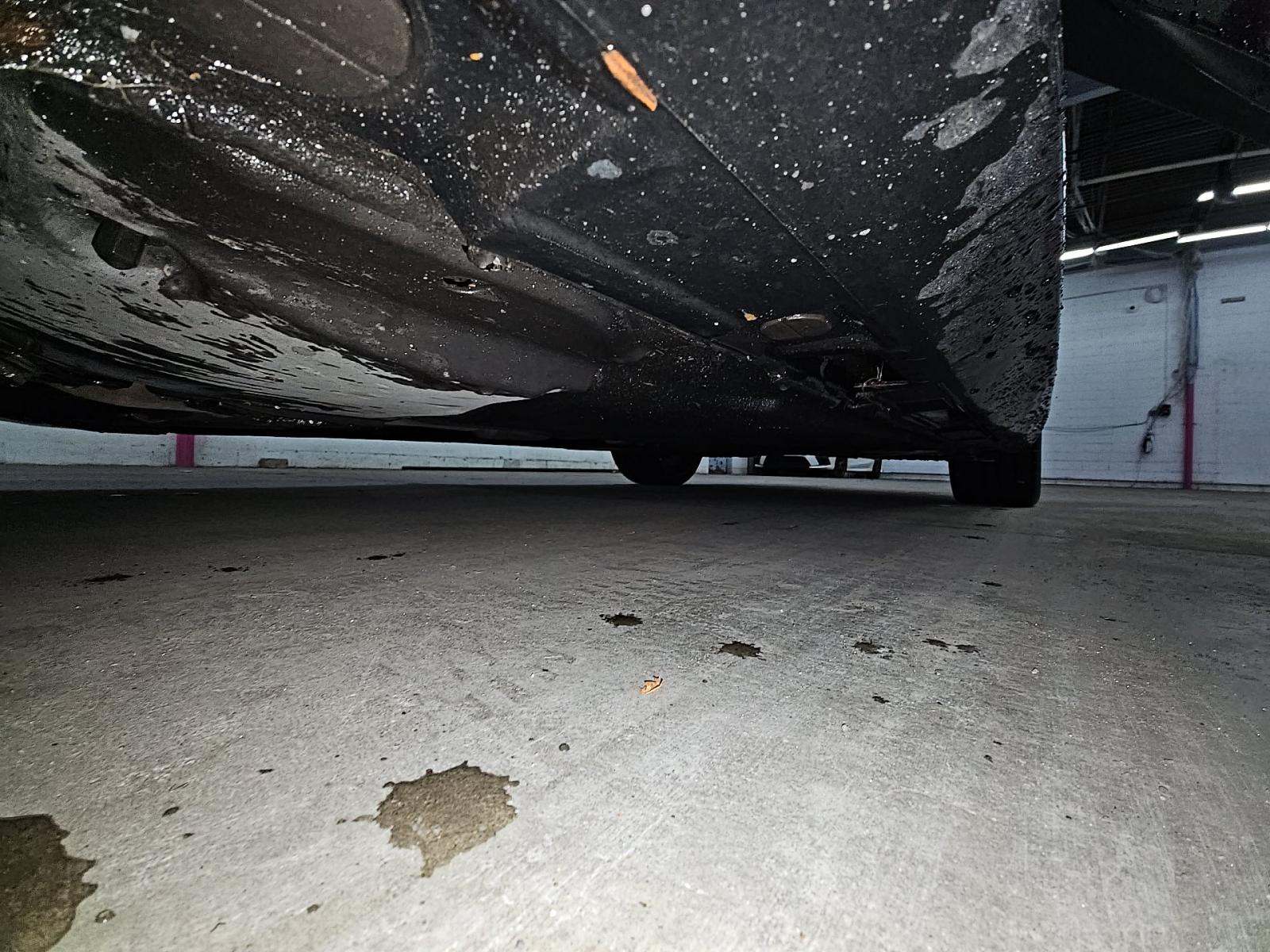 2024 Audi S5 Premium Plus AWD