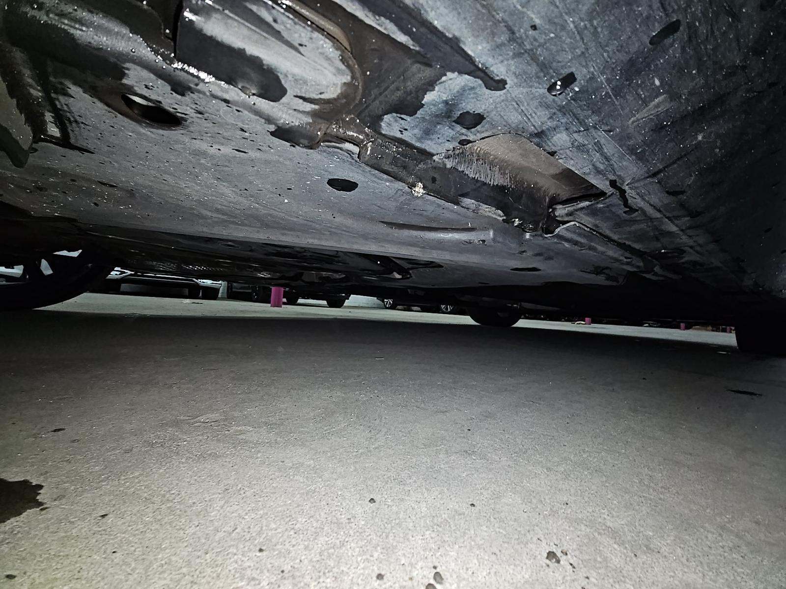 2024 Audi S5 Premium Plus AWD