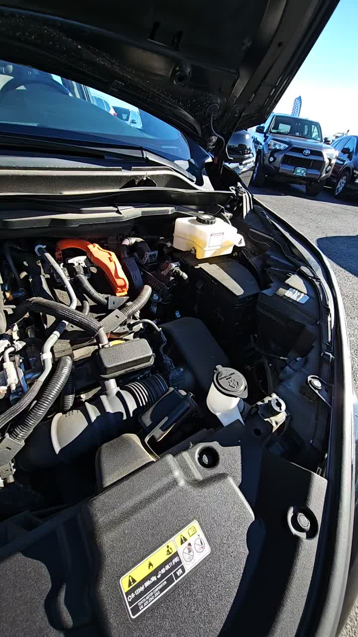 2021 Toyota Sienna XLE AWD