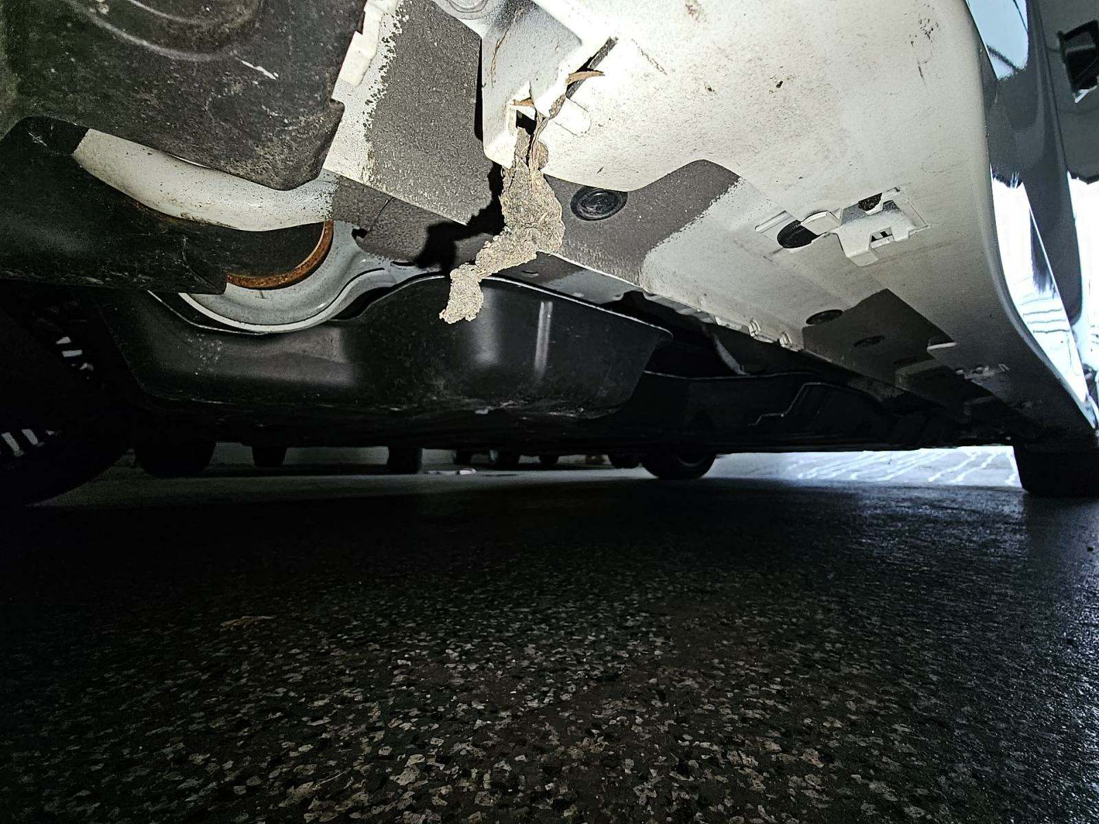 2024 Nissan LEAF SV PLUS FWD