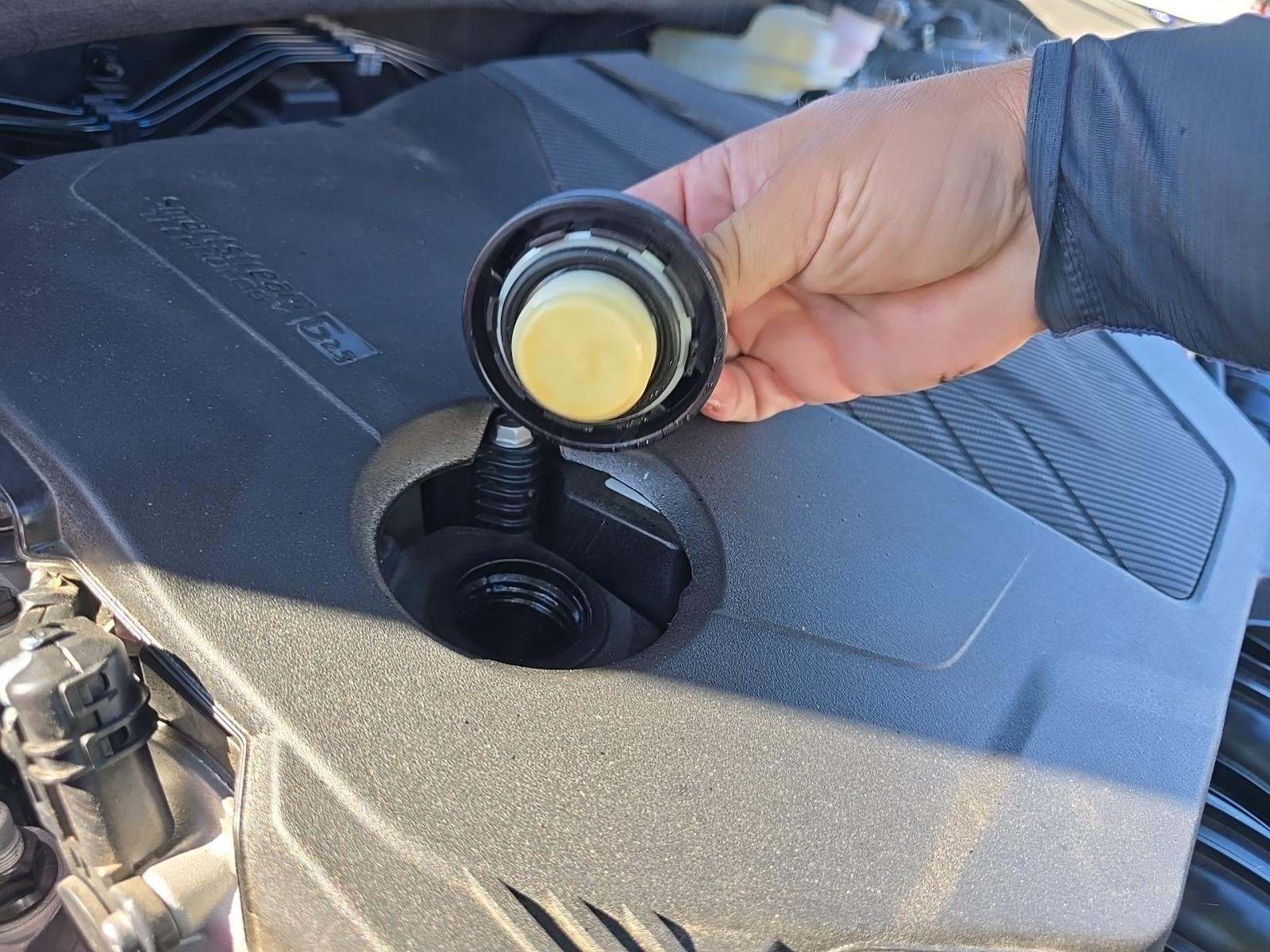 2024 Hyundai Tucson SEL FWD