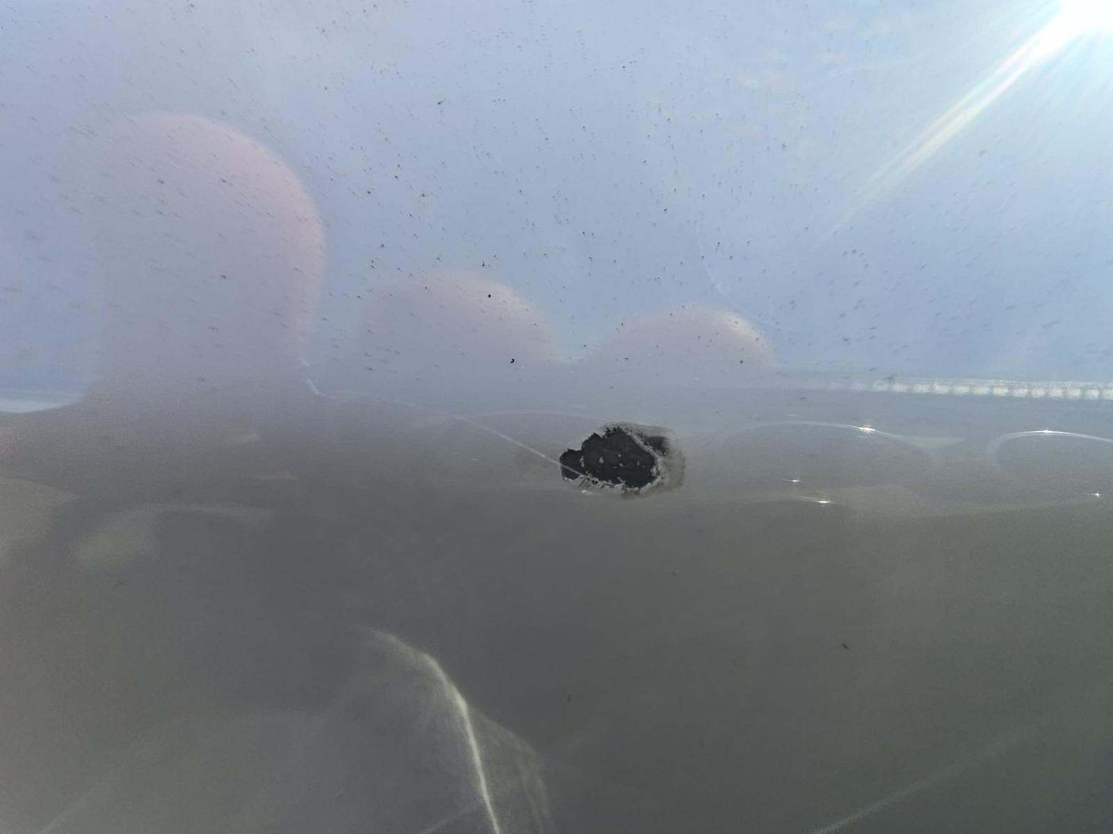 2019 Ford Mustang GT Premium RWD