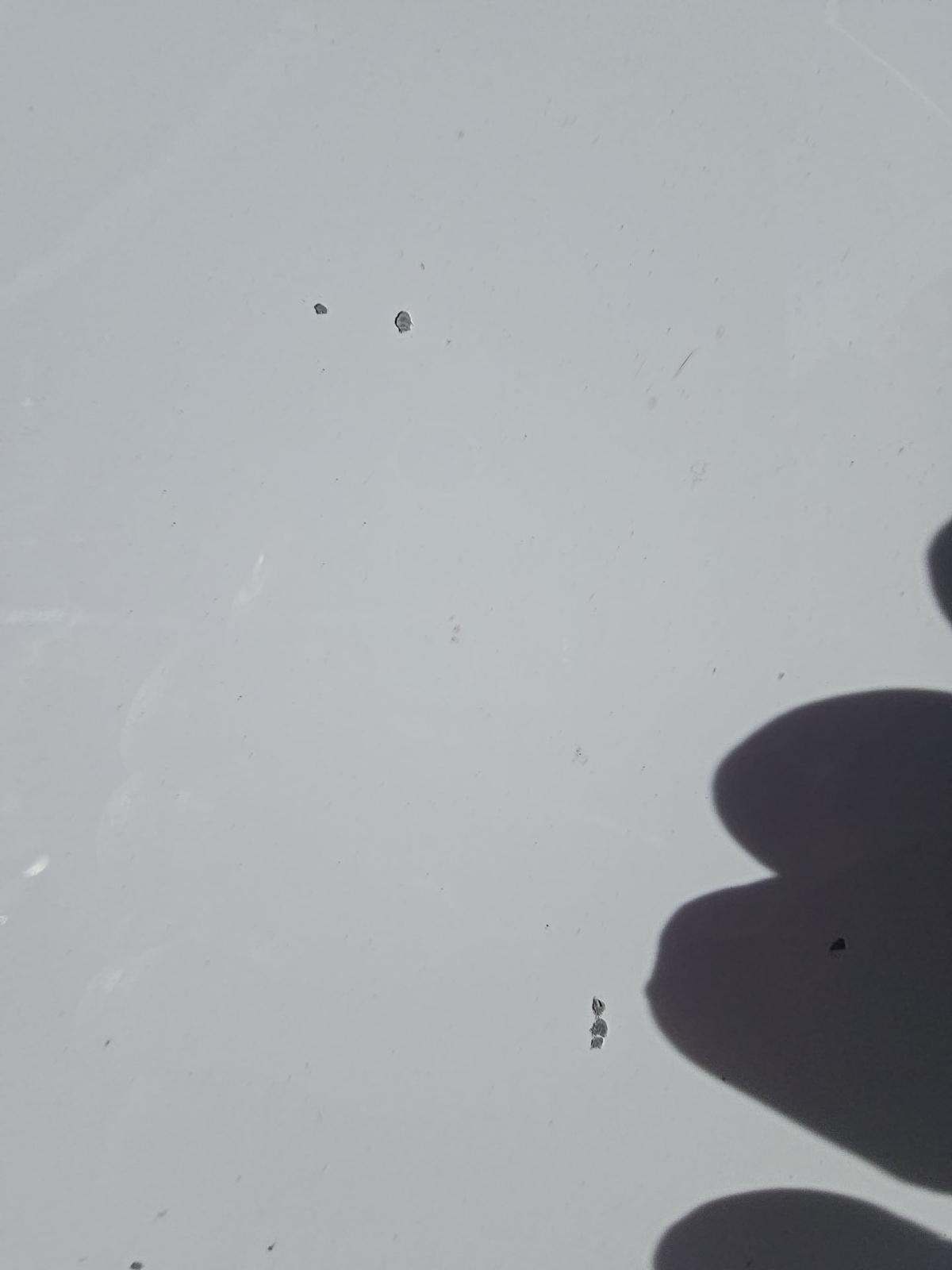 2019 Ford Mustang GT Premium RWD