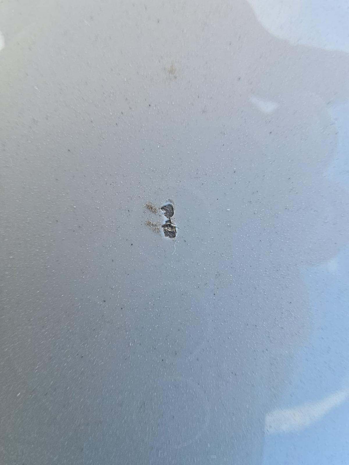 2019 Ford Mustang GT Premium RWD