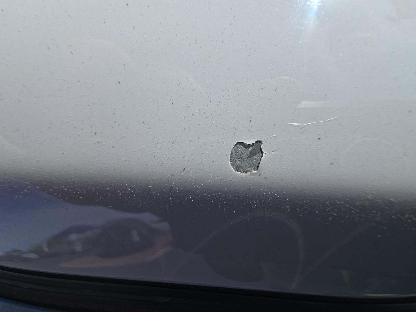 2019 Ford Mustang GT Premium RWD