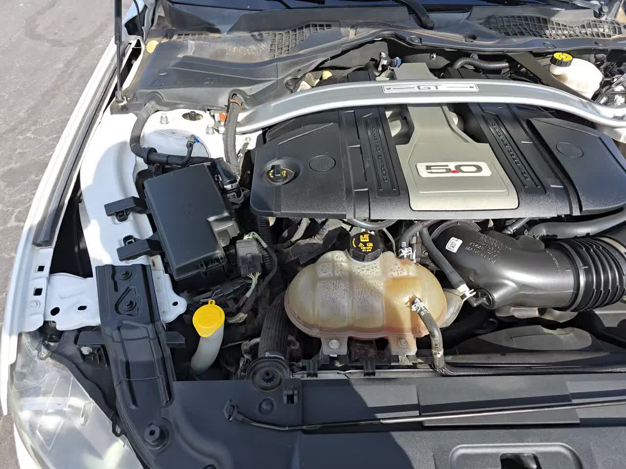 2019 Ford Mustang GT Premium RWD