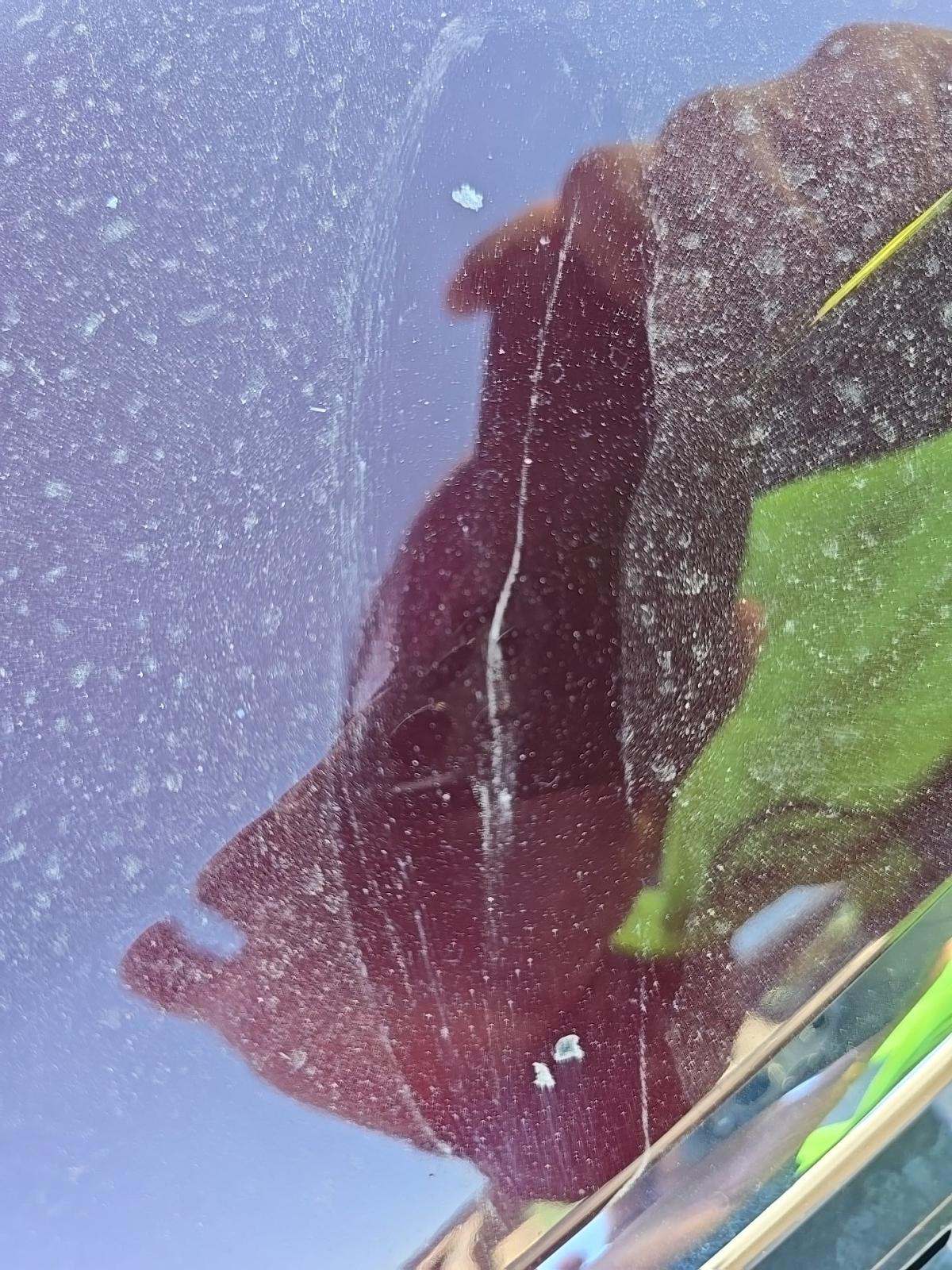 2022 Ford Explorer XLT RWD