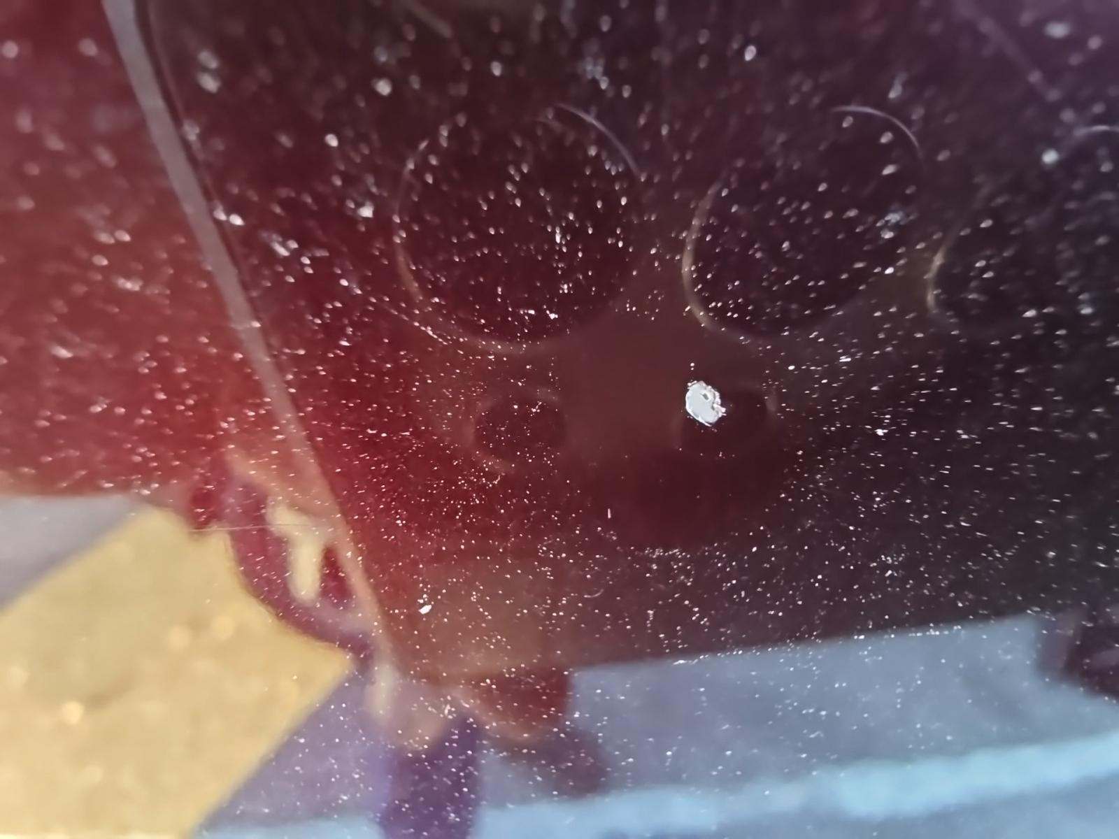 2022 Ford Explorer XLT RWD