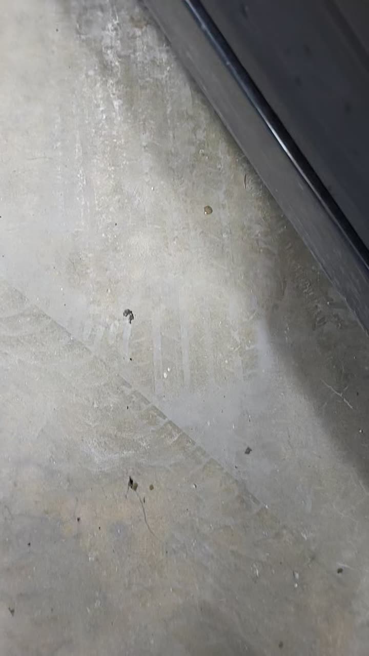 2011 Kia Optima EX FWD