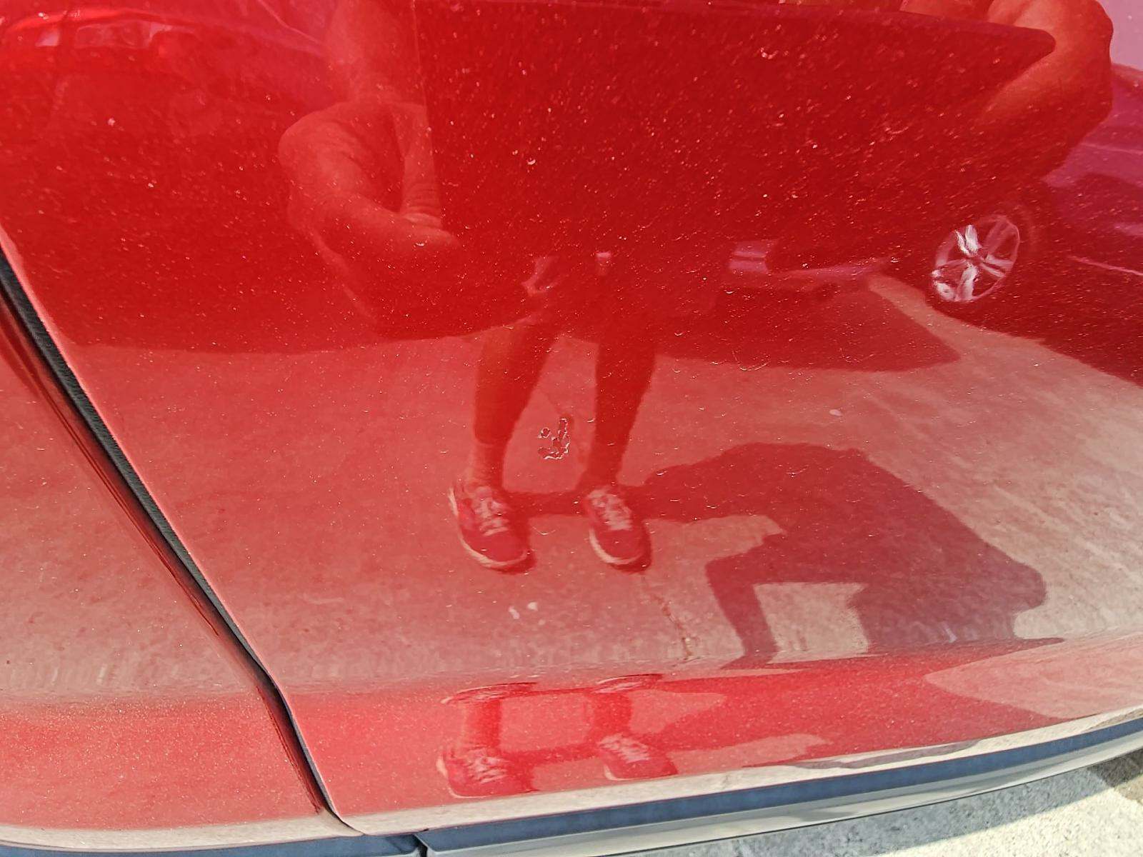 2019 Land Rover Range Rover Evoque SE AWD