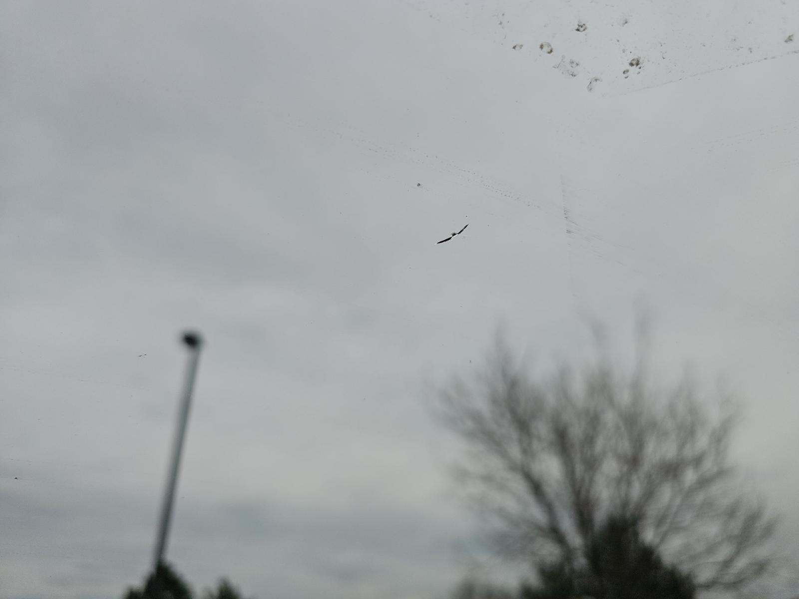 2023 Toyota Camry XSE FWD