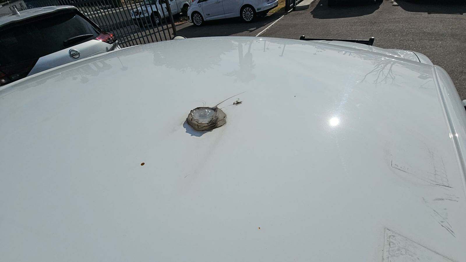 2015 Dodge Charger Police RWD