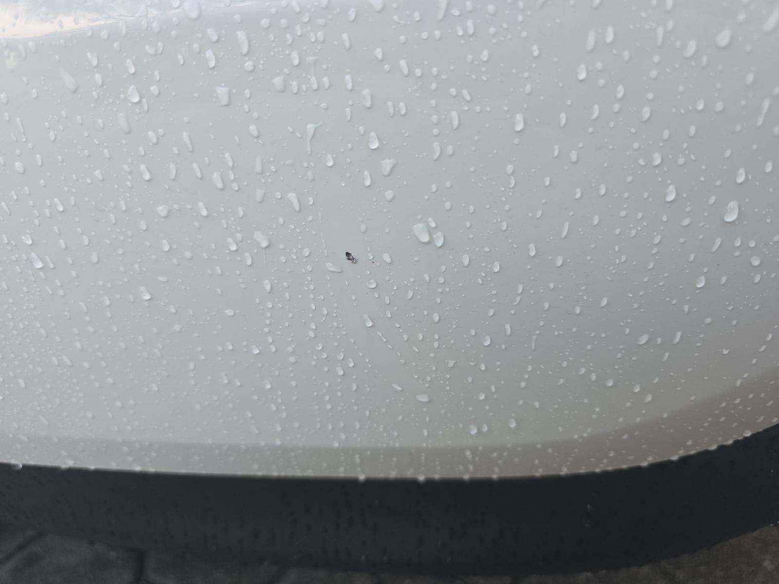 2022 Porsche Panamera Base RWD