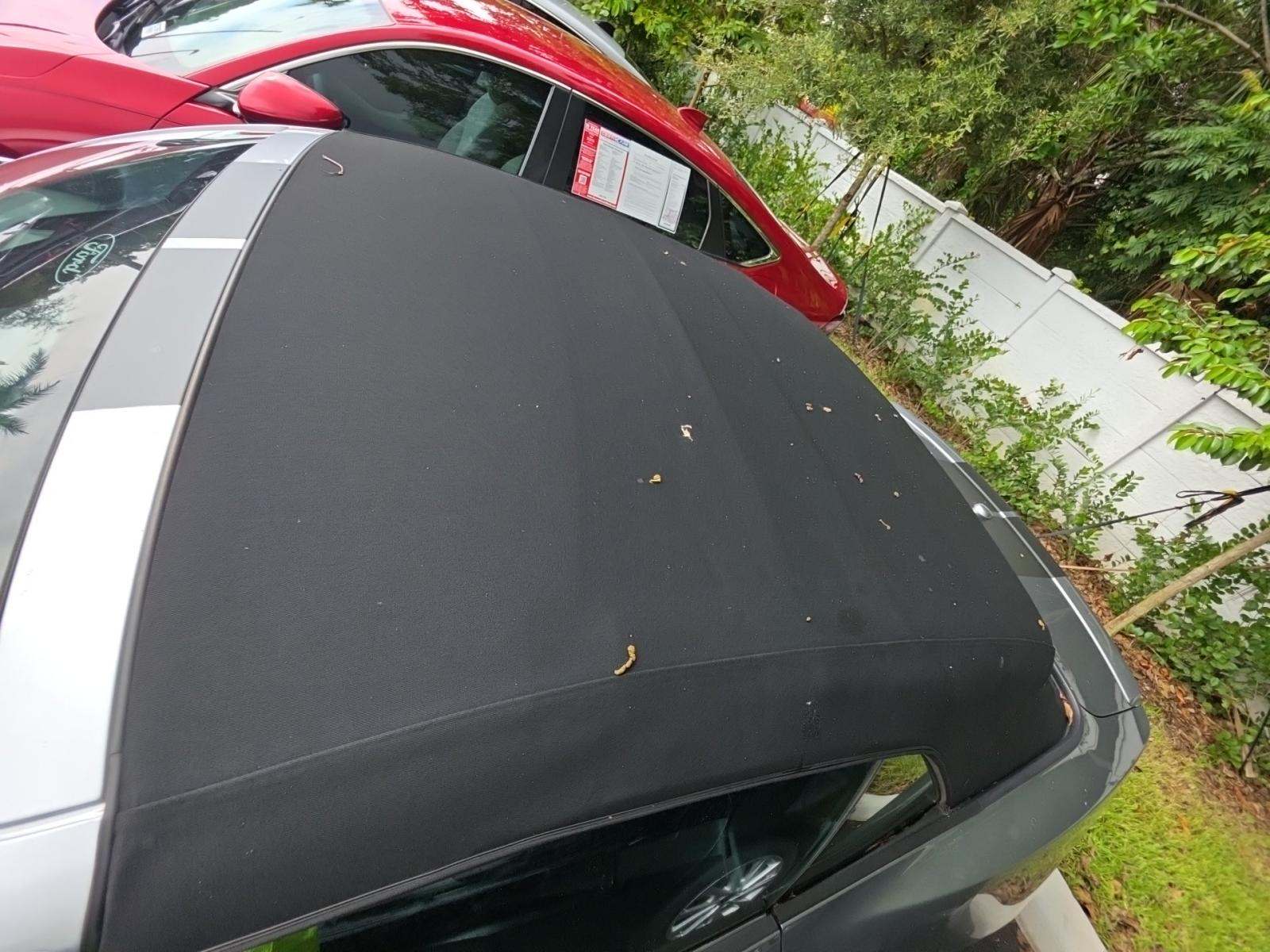 2022 Ford Mustang GT Premium RWD