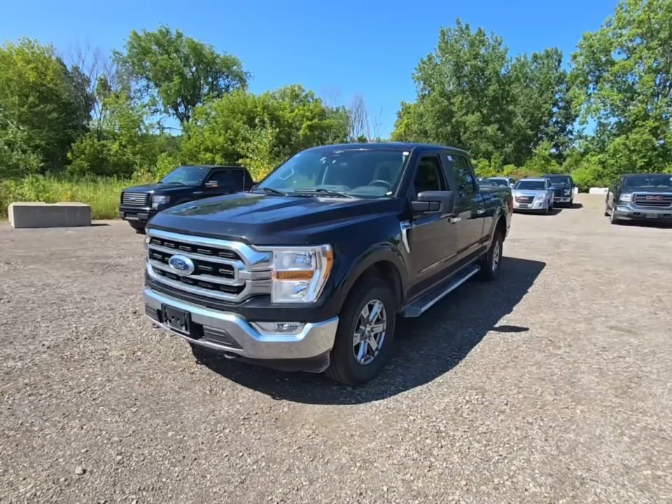 2023 Ford F-150 XLT AWD