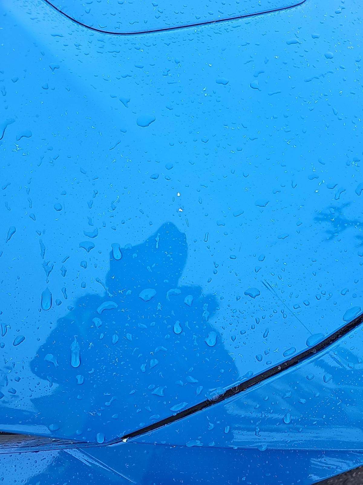 2022 Ford Mustang EcoBoost Premium RWD