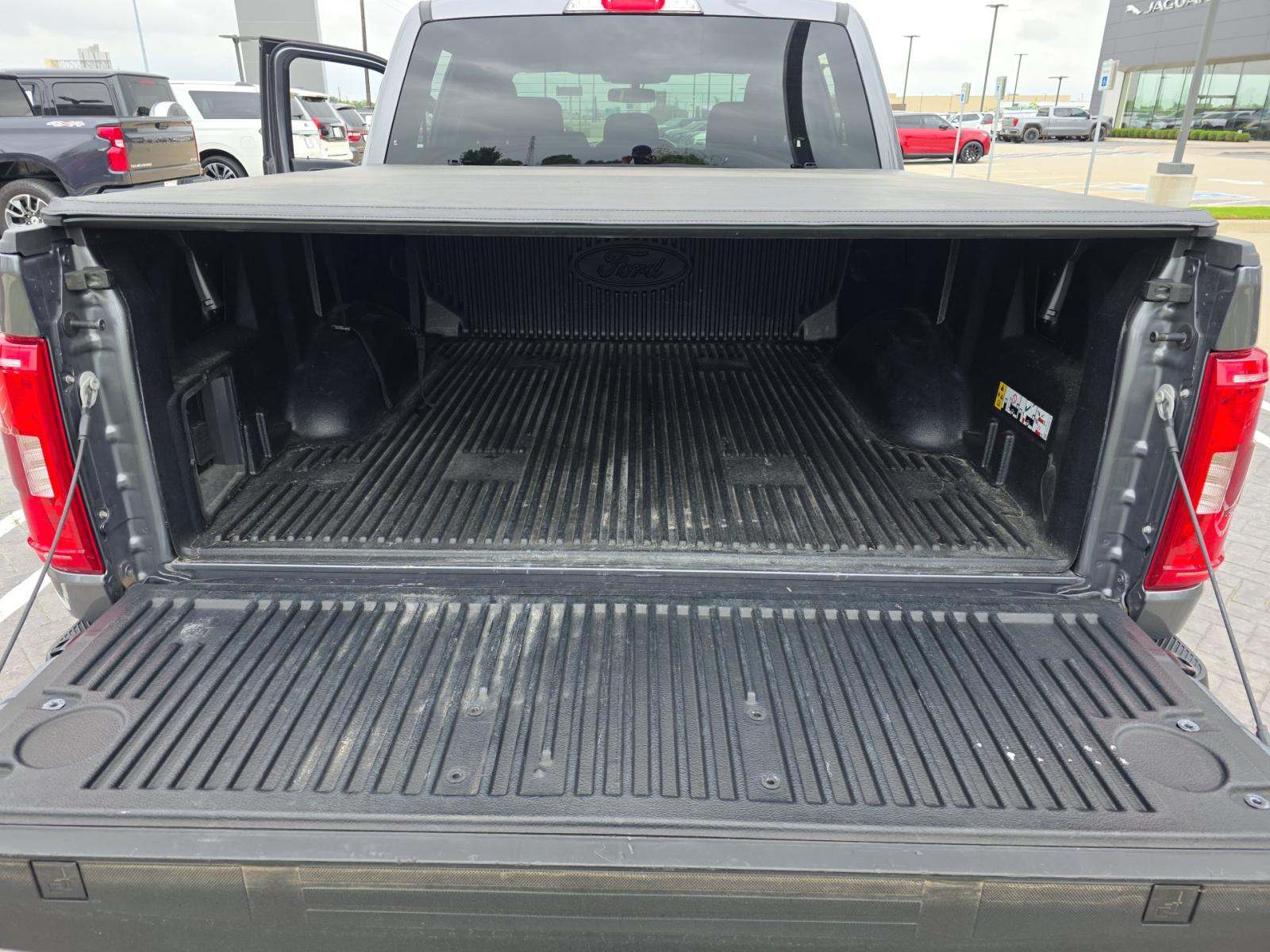FORD F-150 - 10