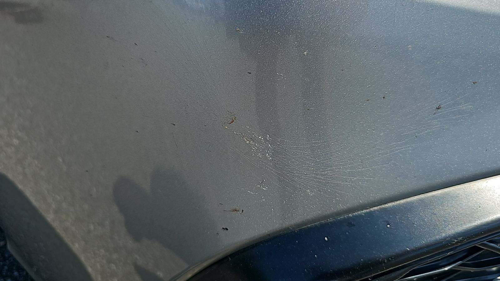 2022 Toyota Camry SE FWD