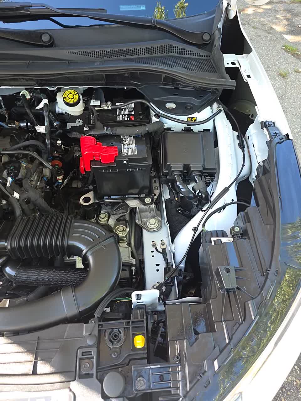 2023 Ford Escape ST-Line FWD