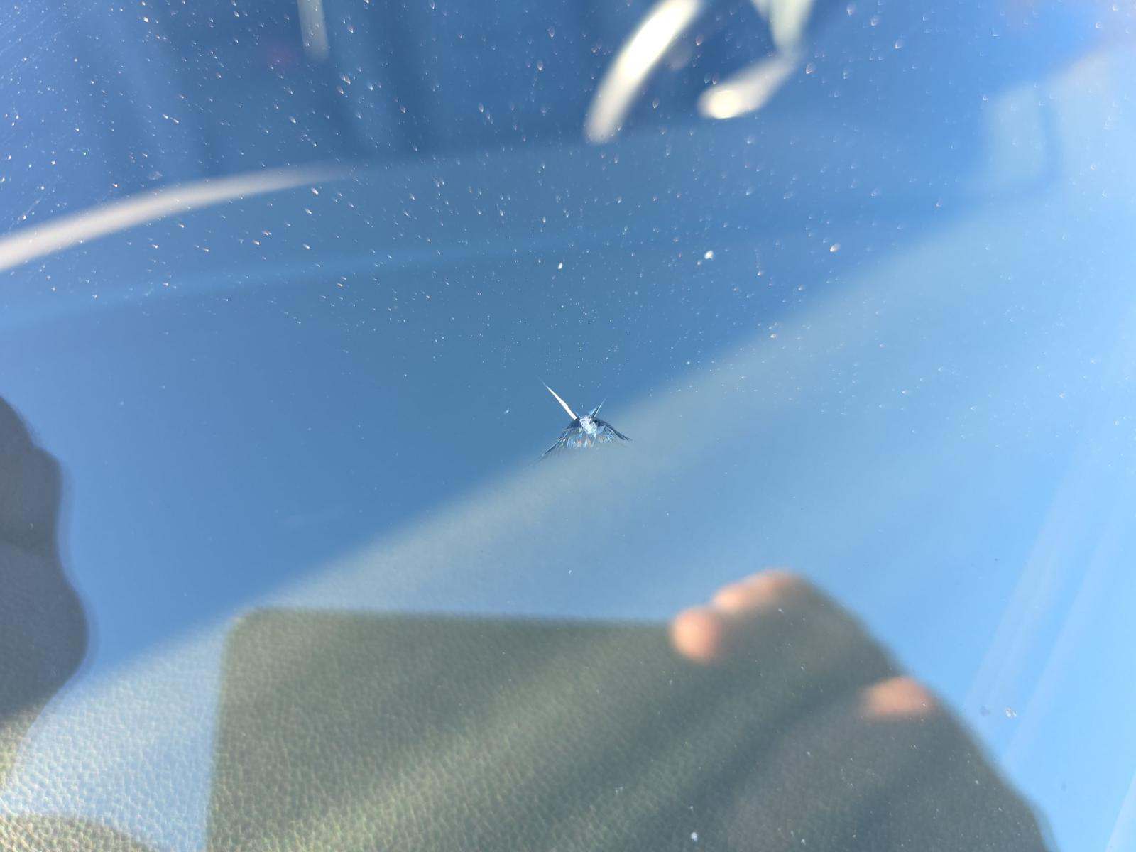 2019 Volkswagen Jetta 1.4T SEL Premium FWD