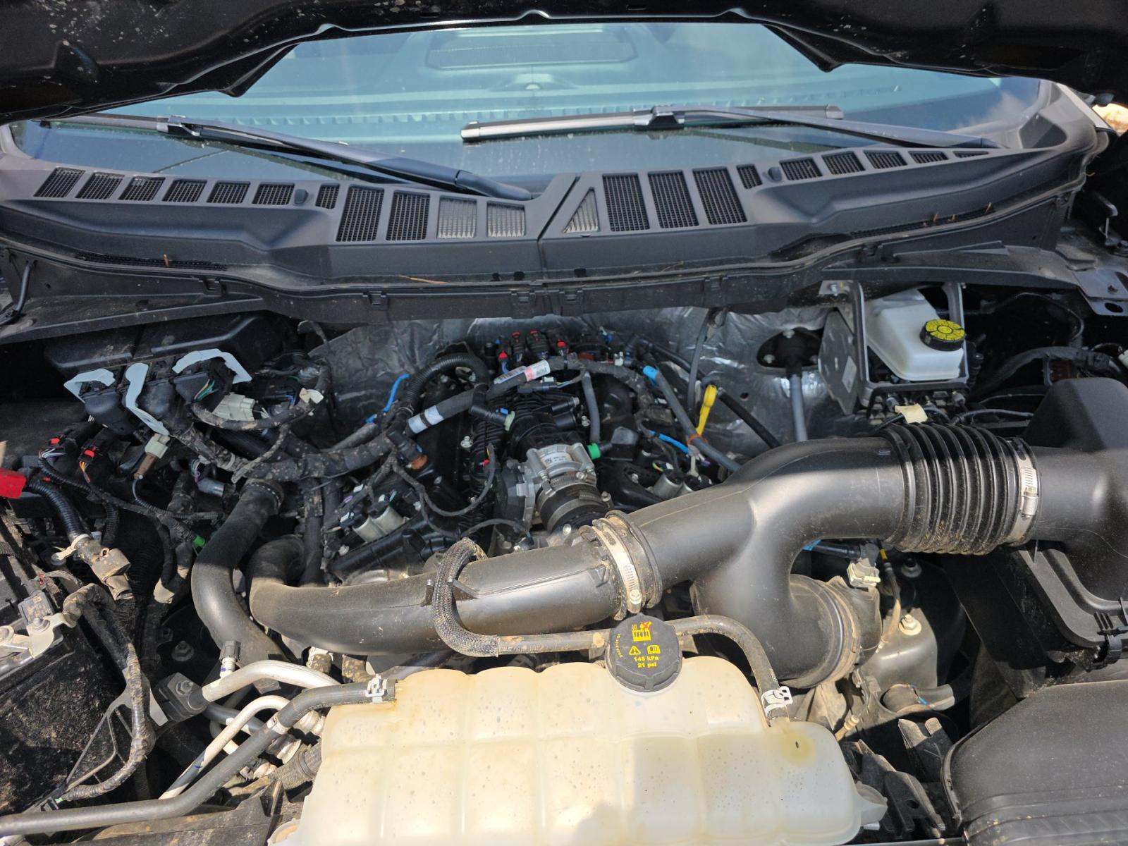 2025 Ford F-150 XLT AWD