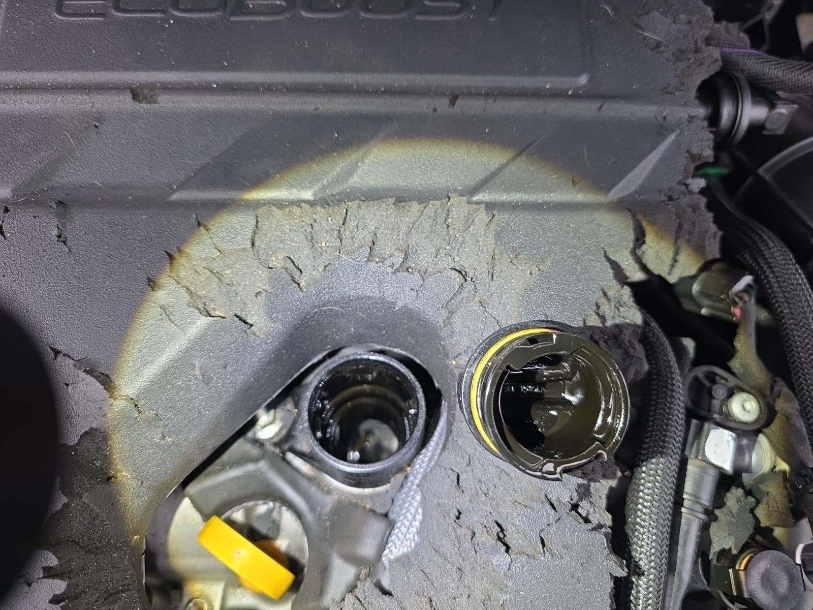 2020 Ford Escape SEL FWD