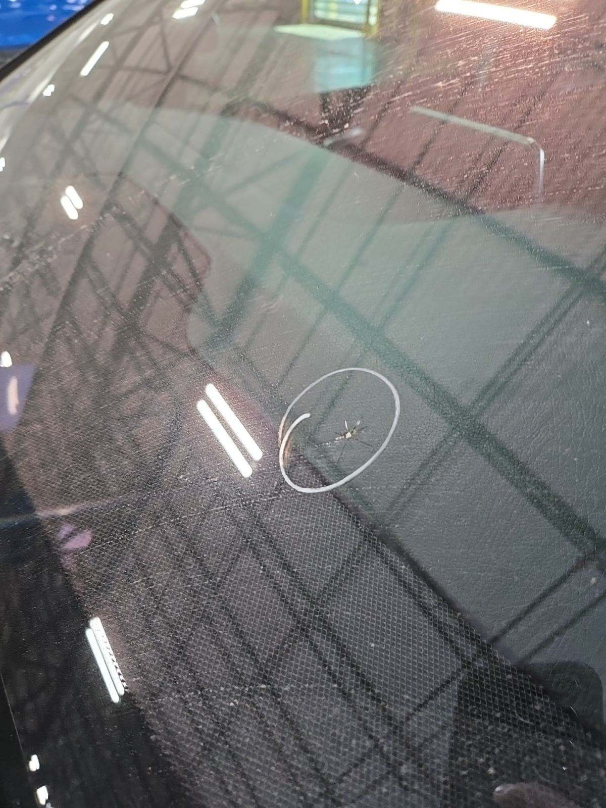 2017 Mercedes-Benz B-Class Electric Drive B 250e FWD