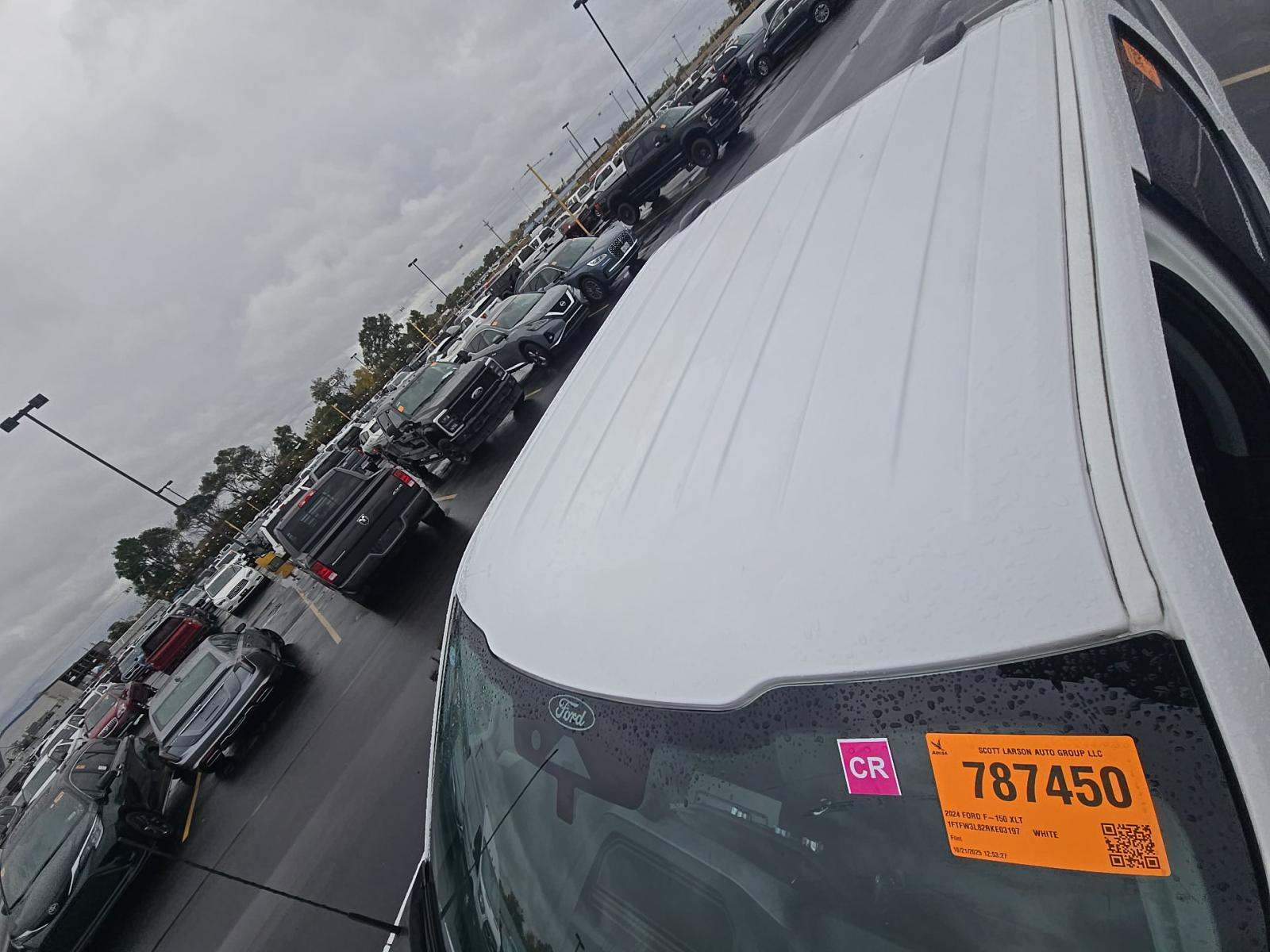 2024 Ford F-150 XLT AWD