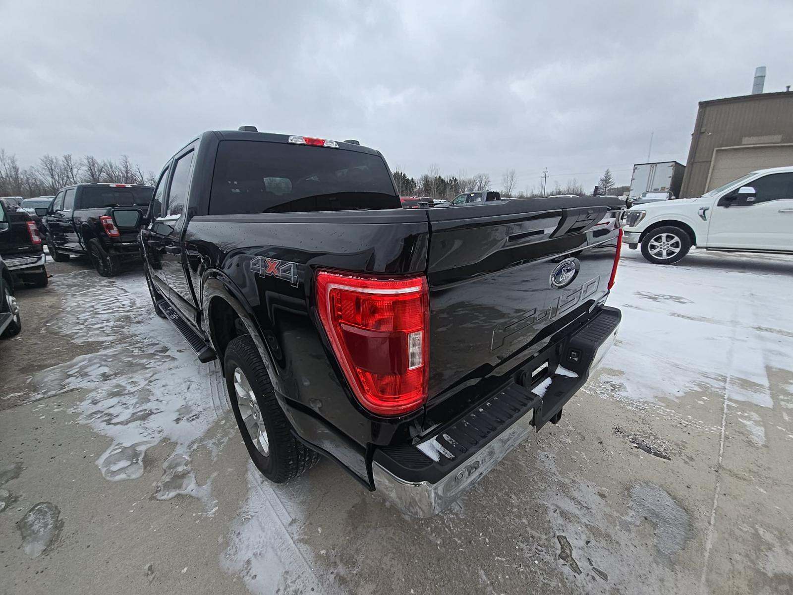 2023 Ford F-150 XLT AWD