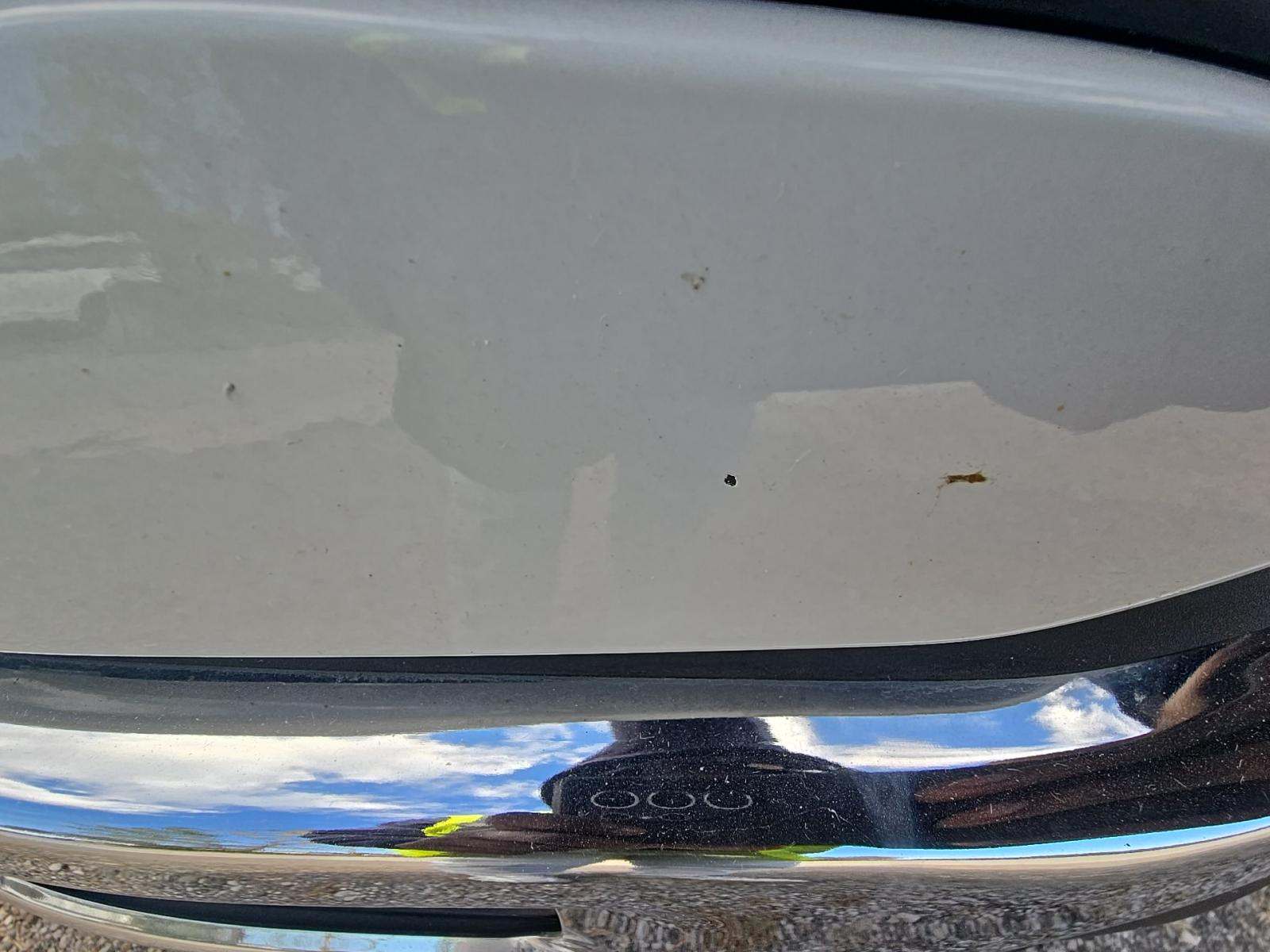 2024 Ford F-150 XLT AWD