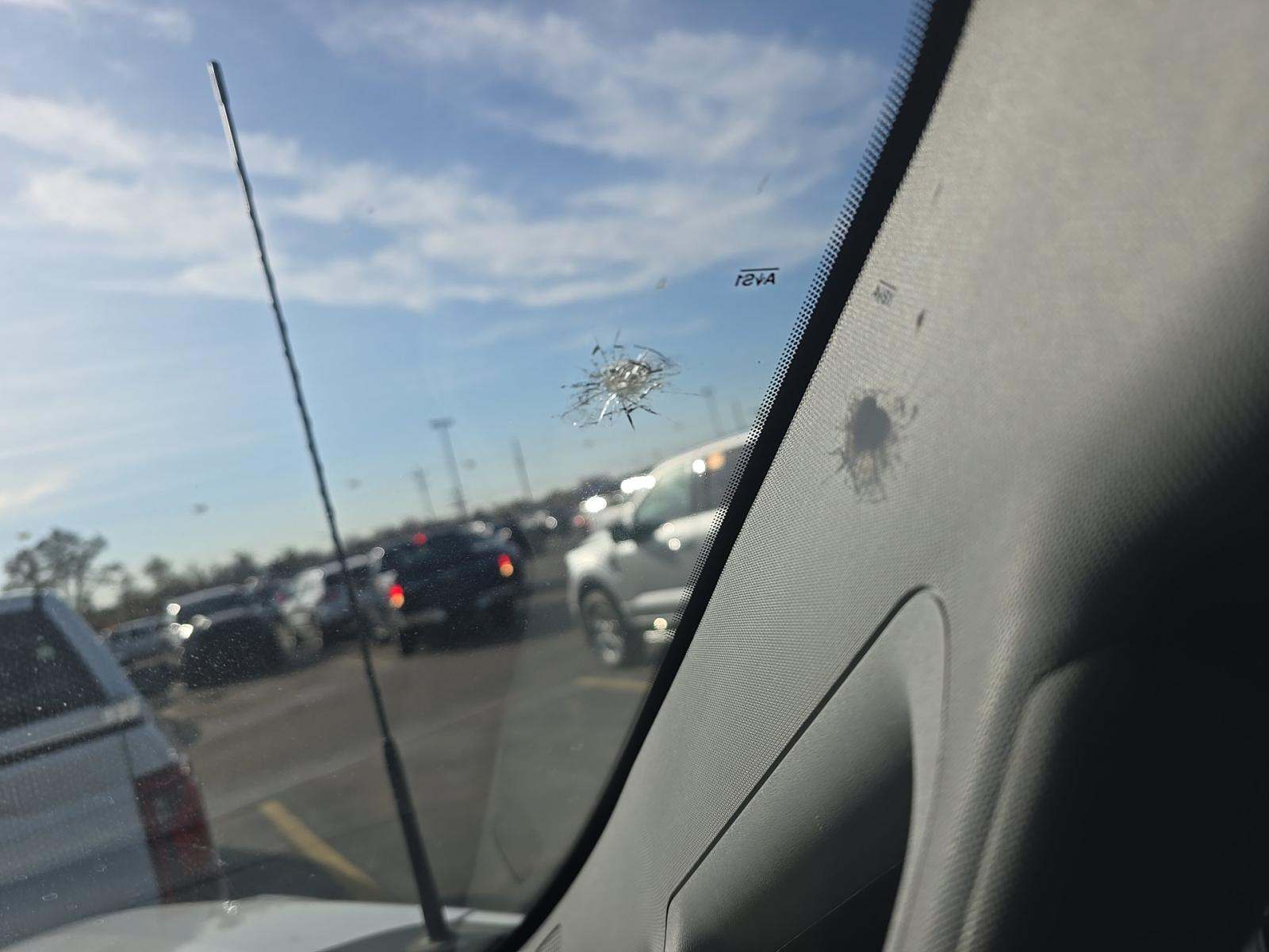 2024 Ford F-150 XLT AWD